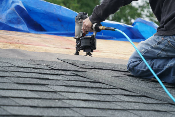 Best Metal Roofing Contractor  in Carson, WA