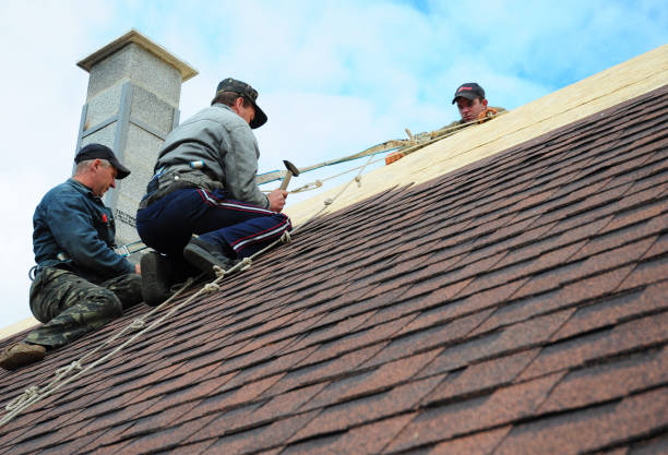 Best Sealant for Roof  in Carson, WA